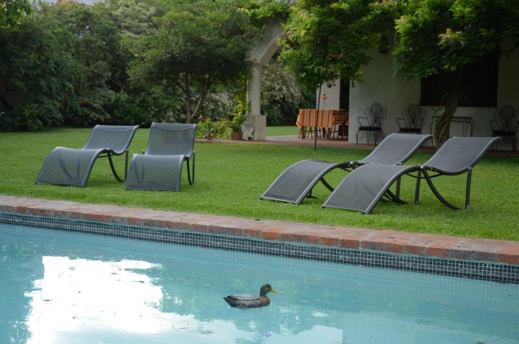 Susana Just Boutique Hotel Vicente López Eksteriør billede